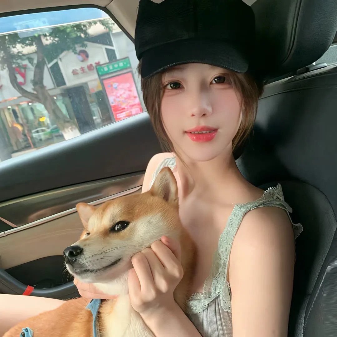 一日偶像署长的事件簿